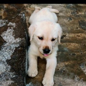 Meet your Posher, Sruthi bandi